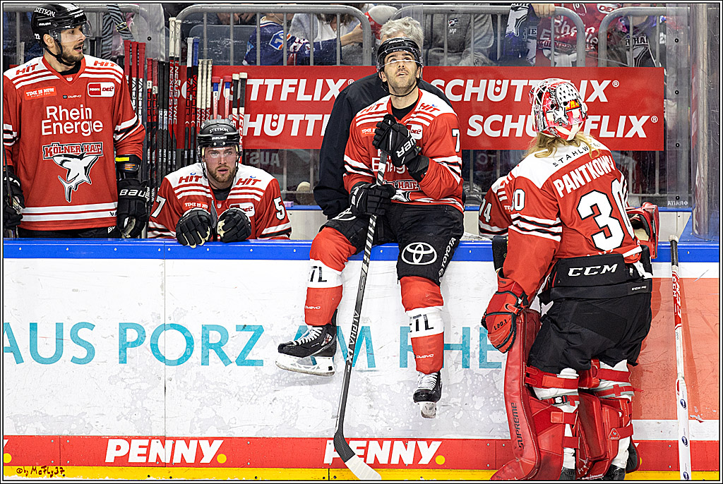 PENNY DEL - Viertelfinale;  Koelner Haie - Adler Mannheim; Koeln, 17.03.2023